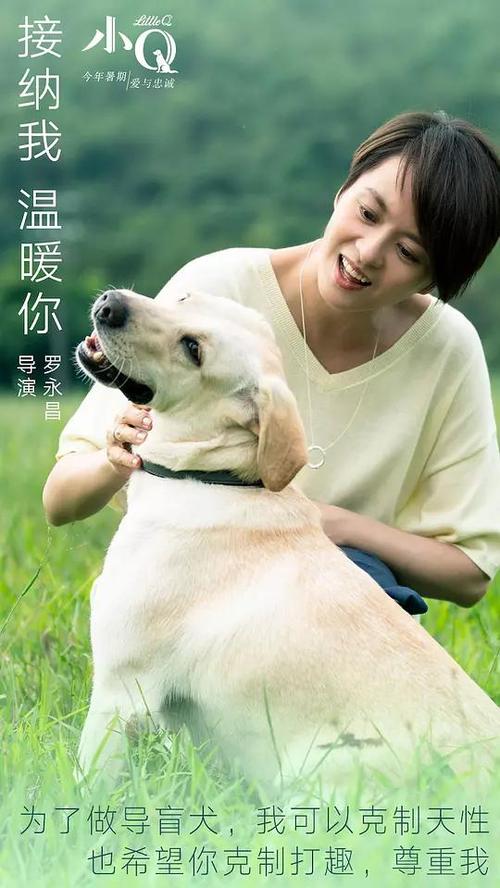 哪里能办理日本大手前大学文凭毕业证